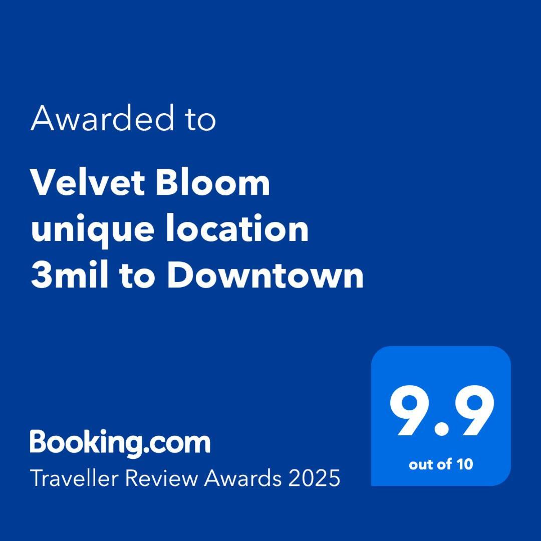 Velvet Bloom Unique Location 3Mil To Downtown Villa เนเปิลส์ ภายนอก รูปภาพ